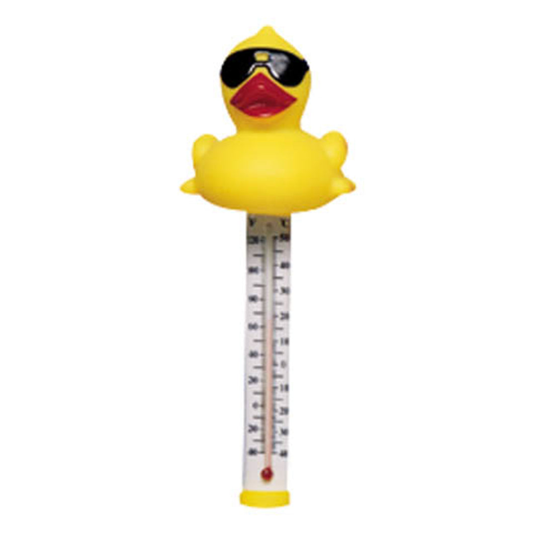 Spa Thermometer